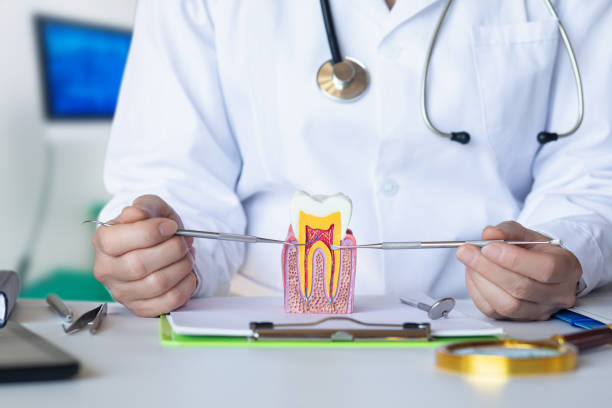 Best Emergency Dentist for Knocked-Out Tooth in Bridgeport, WV